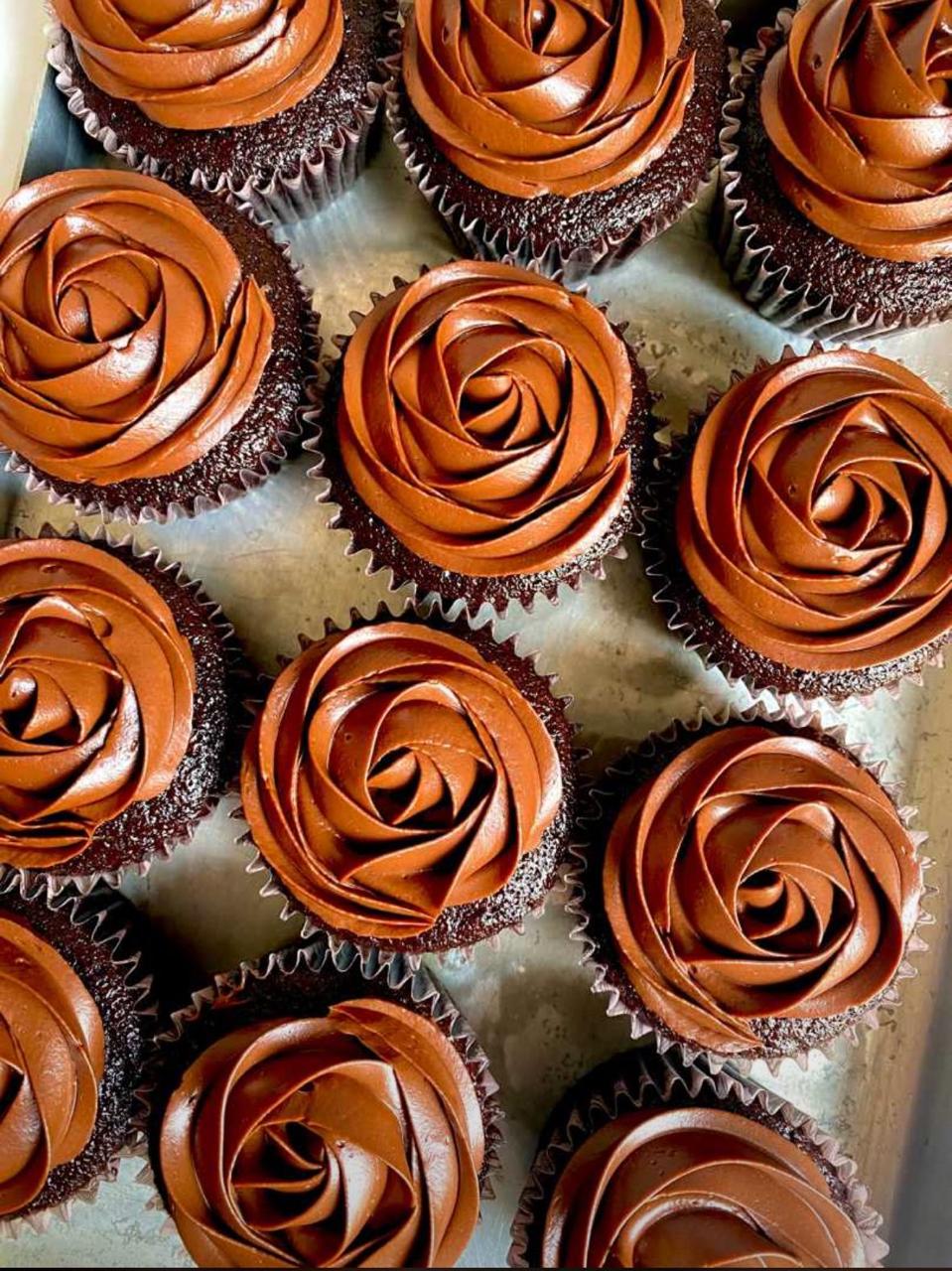 Chocolate cupcakes with rose-swirl icing